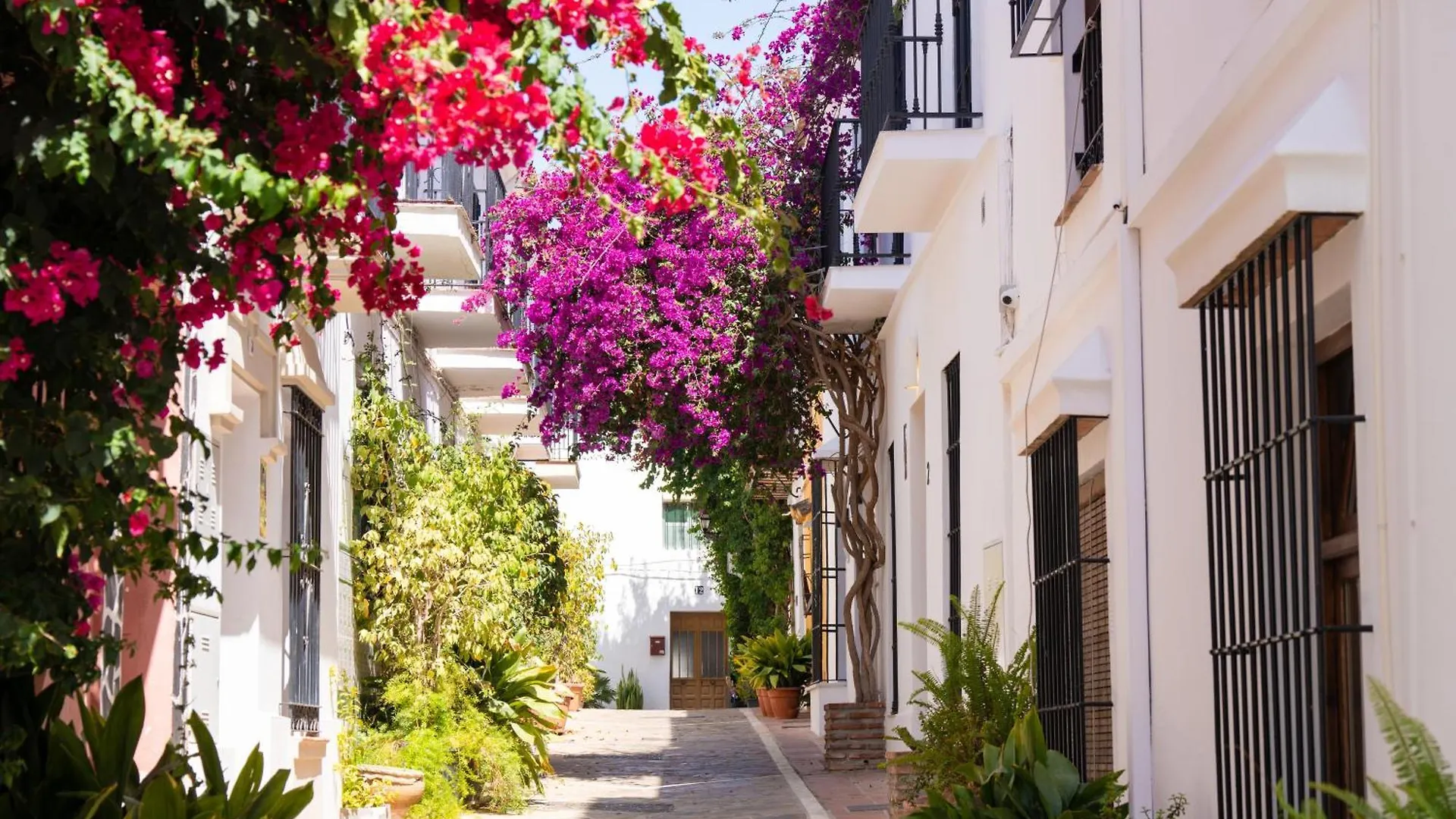Oasis Lomas Del Marbella Club Apartment Spain